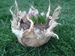 20140324_150336.jpg